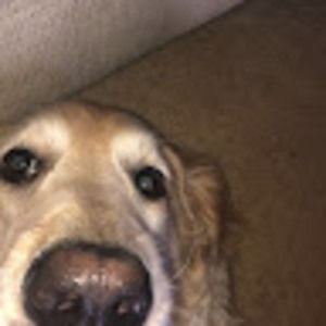 Meet your Posher, Maggie